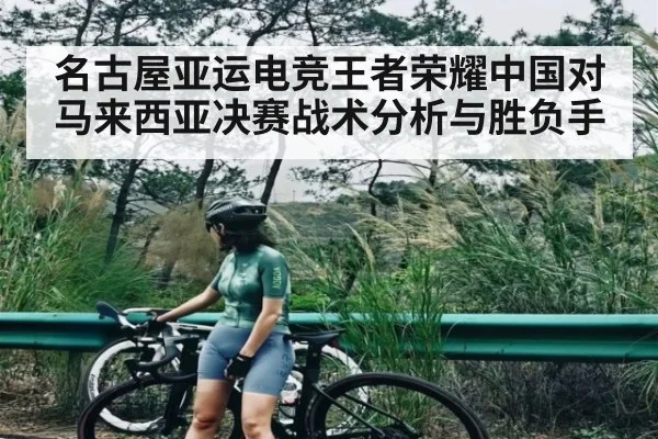 名古屋亚运电竞王者荣耀中国对马来西亚决赛战术分析与胜负手